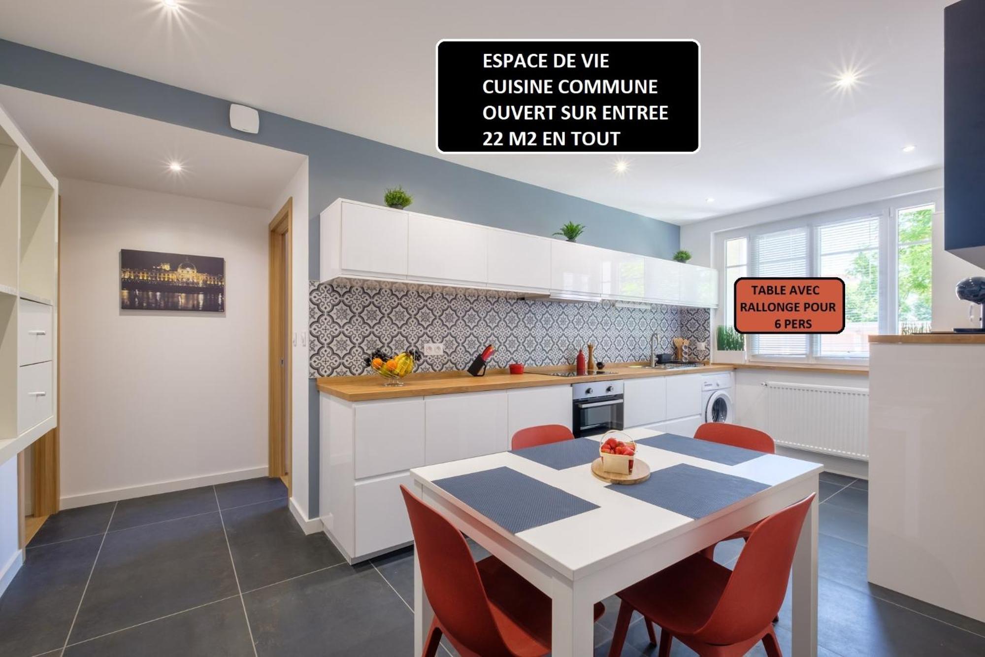 Appart 3 Suites-Chaque Suite Avec Sdo Wc Privatifs - Cuisine Commune Тасен-ла-Деми-Люн Екстериор снимка